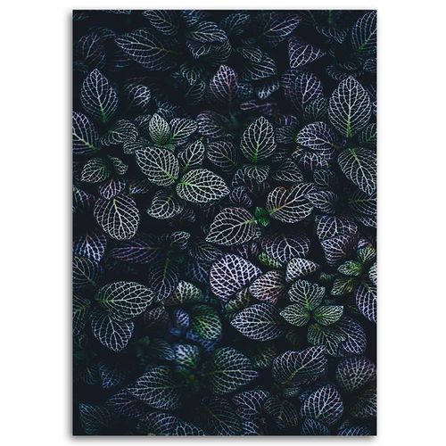 Deco Panel, Liście ozdobnej rośliny 40x60 na Arena.pl