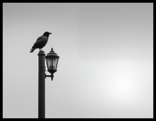 Plakat 65x50cm Samotny Postój Kruka na Arena.pl