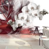 Fototapeta - Orchidea w czerwieni 200x140