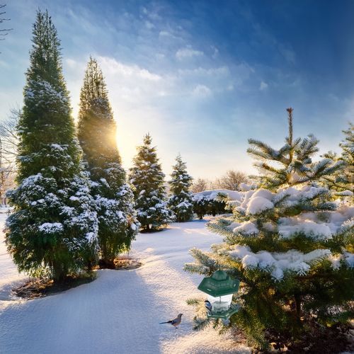 KARMNIK DLA PTAKÓW NA KARMĘ ZIARNA POIDEŁKO NA OKNO Z DASZKIEM na Arena.pl