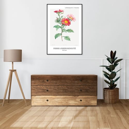 Plakat 40x60cm Design Red Aster, Redoute Vintage do Salonu na Arena.pl