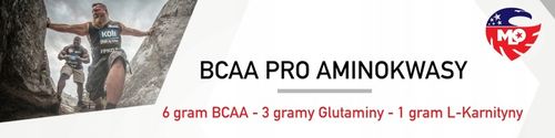 BCAA Pro MLO smak Mango Marakuja - 454g na Arena.pl