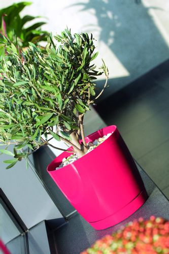 Doniczka COUBI DUOP120 z podstawką | Biały, Kształt Okrągły, Wymiary 12x11 cm, Kolor Biały, Prosperplast na Arena.pl