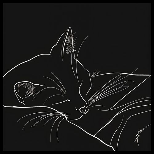 Plakat 50x50cm Nocny Spokój na Arena.pl