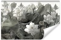 Fototapeta Do Salonu Liście Kwiaty LOTOSU Natura Styl Vintage 450cm x 300cm