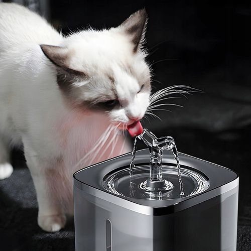 POIDEŁKO FONTANNA DLA KOTA PSA MISKA AUTOMATYCZNE POIDŁO + FILTR 2 LITRY na Arena.pl