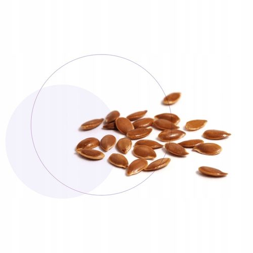 Jasnum uro 60 kapsułek na Arena.pl