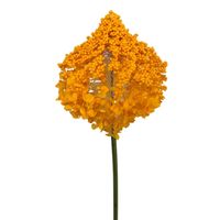 Kuflik pojedynczy żółty