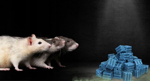 RATIMOR Trutka na myszy i szczury - Kostka woskowa Brodifakum 29ppm na Arena.pl