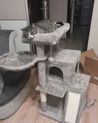 DRAPAK DLA KOTA KOTÓW STABILNY LEGOWISKO WIEŻA SŁUPEK DOMEK 3 POZIOMY na Arena.pl