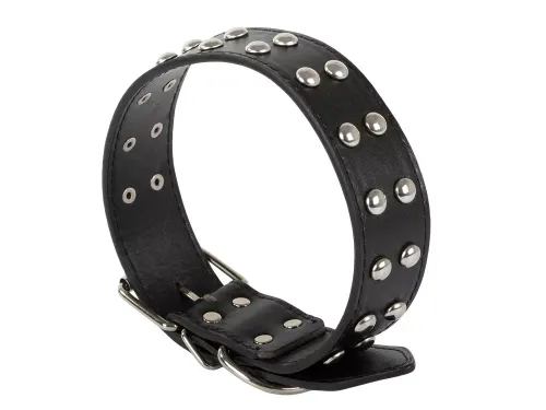 Obroża dla psa z ćwiekami ekoskóra regulowana l na Arena.pl