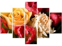 product-compare-58676687