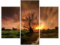 70 90CM OBRAZ 3 ELEM ROMANTYCZNY SPACER ŚCIENNY PŁÓTNO