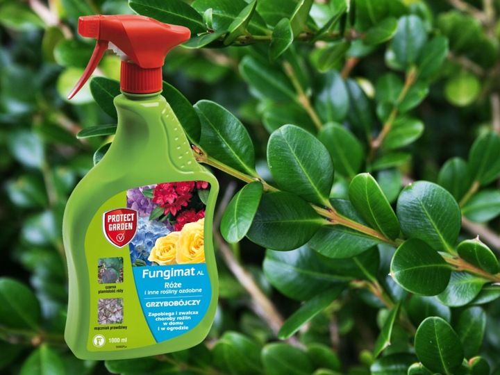 FUNGIMAT AL ŚRODEK GRZYBOBÓJCZY DO RÓŻ I ROŚLIN OZDOBNYCH 1L PROTECT GARDEN zdjęcie 6