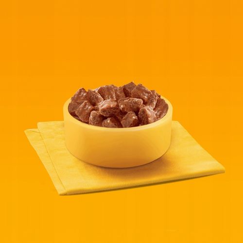 Pedigree Adult Mix Wybór Smaków Mokra Karma dla Psa w Sosie 40x100g na Arena.pl