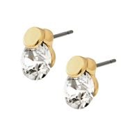 Kolczyki z kryształkiem i małym kołem z kolekcji Classic (P15018AU)