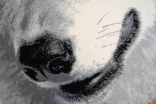 Dywan BCF FLASH 33303/150 na Arena.pl