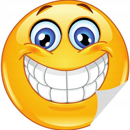 Śmieciarka DUŻA Ciężarówka Zabawka INTERAKTYWNA dla dzieci chłopca 3 latka na Arena.pl