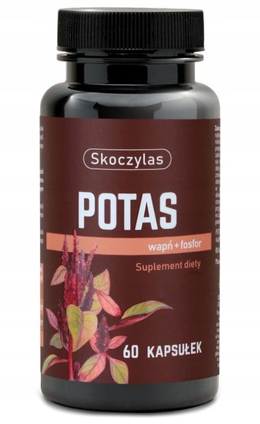 Skoczylas POTAS + WAPŃ FOSFOR Serce NERWY MIĘŚNIE zdjęcie 1