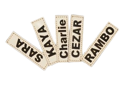 Legowisko dla psa kojec KINGDOG 115x95 cm wodoodporne kości czarne zdjęcie 7