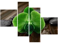 100 70CM OBRAZ 4 ELEM LIMONKOWY STORCZYK DRUK PŁÓTNO RAMA