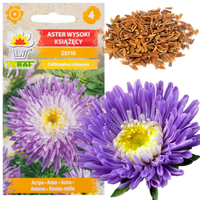 ASTER KSIĄŻĘCY WYSOKI ZEFIR 1G NASIONA FIOLETOWO-BIAŁE KWIATY NA RABATY