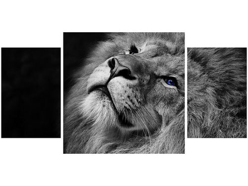 80X40CM SREBRNY LEW NIEBIESKIMI OCZYMA TRÓJ OBRAZ na Arena.pl