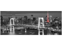 100X40CM TOKYO MOST TĘCZOWY OBRAZ DREWNO