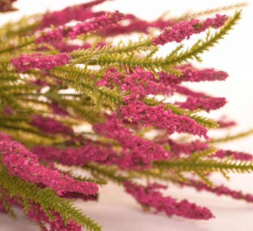 Wrzos bukiet różowy na Arena.pl