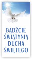 Baner religijny 120x60 cm duży wybór Bierzmowanie - Pod skrzydłami Anioła
