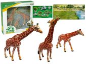 Żyrafy Figurki Edukacyjne Rodzina 3 sztuki + Tło Afryka