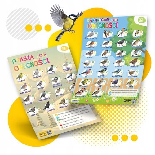 KARMA DLA PTAKÓW 20kg ZE SŁONECZNIK DROBNE ZIARNO DO KARMNIK + PLAKAT na Arena.pl