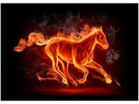 50X70CM OGNISTY KOŃ OBRAZ POKOJU DREWNINE