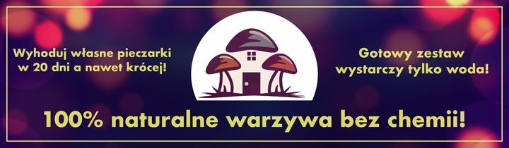 3 Faza Grzybnia Pieczarki Zestaw XL + gratis 6w1 zdjęcie 7