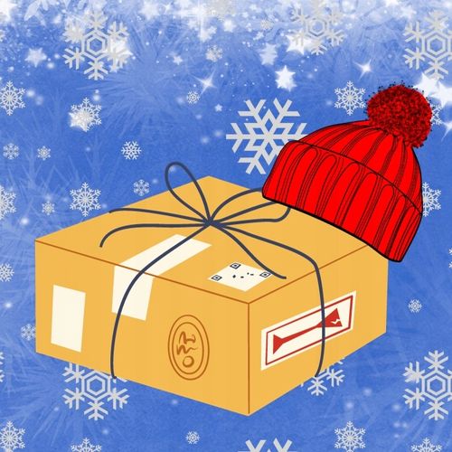 Drosera capensis ROSICZKA PRZYLĄDKOWA na Arena.pl