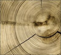 Tło fotograficzne Produktowe FLAT LAT Kulinarne