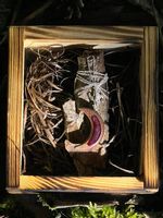 Naszyjnik ręcznie robiony z żywicy epoksydowej i drewna Czerwony Księżyc