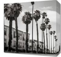 Obraz 40x40cm Spacer w Cieniu Palm