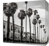 Obraz 40x40cm Spacer w Cieniu Palm