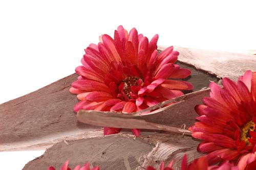 Gerbera gałązka flokowana na Arena.pl
