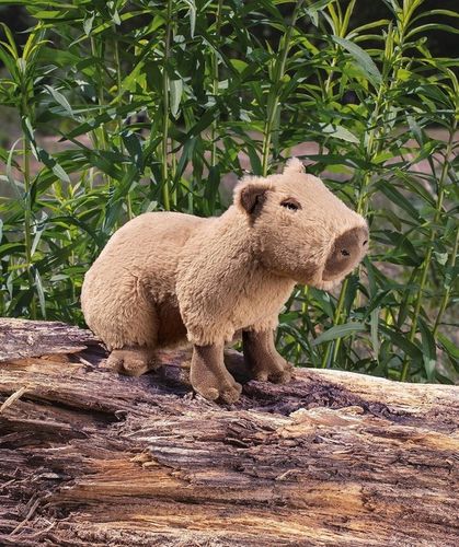 Pluszak Kapibara FANCY Maskotka Kapibara na Arena.pl