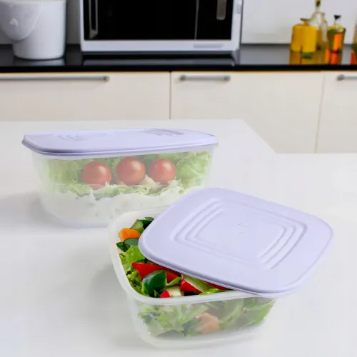 PLASTIKOWY POJEMNIK Z POKRYWKĄ DO PRZECHOWYWANIA ZAMRAŻANIA ŻYWNOŚCI 3L na Arena.pl