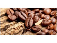 OBRAZ ZIARNISTA KAWA BARISTY