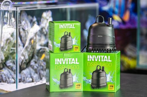 INVITAL pompa z dolnym wlotem 2500 l/h 3m na Arena.pl