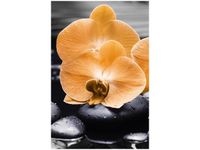 product-compare-58649775