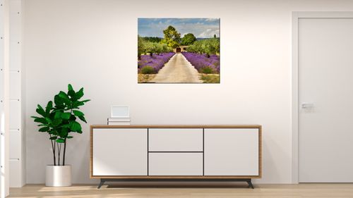Foto Obraz 50X40 Droga W Prowansji na Arena.pl