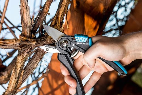 CELLFAST SEKATOR KOWADEŁKOWY OGRODOWY ERGO 41-021 CIĘCIA GAŁĘZI KRZEWÓW na Arena.pl