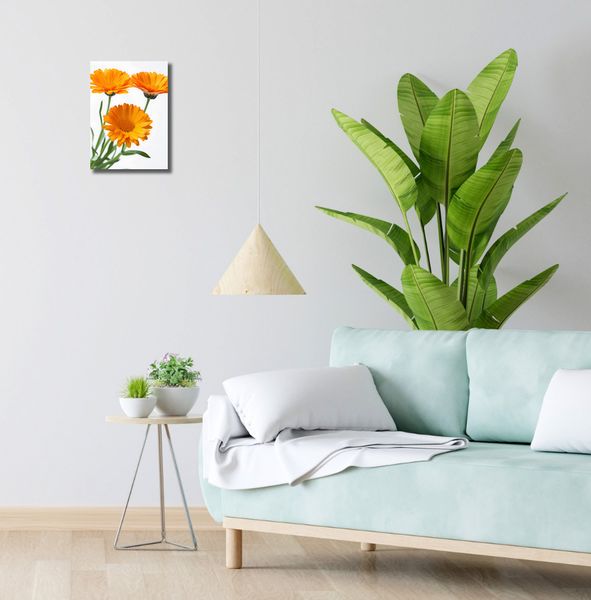 Obraz 20x30cm Słoneczne Kalendule zdjęcie 2