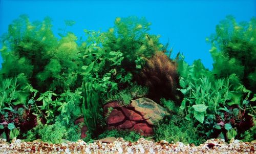 AKWARIUM 60x30x40 PROSTY 72L POKRYWA AQUAEL LEDDY DZIEŃ + NOC + WYPOSAŻENIE na Arena.pl