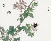 Plakat 50x40cm Końskie Muchy Morimoto Toko Japoński Vintage do Salonu